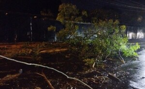 Temporal de anoche causó destrozos en varios puntos de CDE