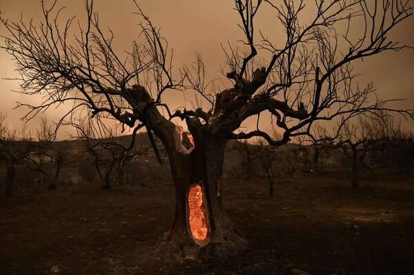 La Tierra supera por primera vez 1,5 ºC de calentamiento: ¿será peor en 2024? - Ciencia - ABC Color