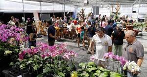 La Nación / ¡Llega mañana la cuarta edición de Flori Feria!