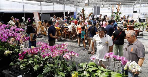 La Nación / ¡Llega mañana la cuarta edición de Flori Feria!