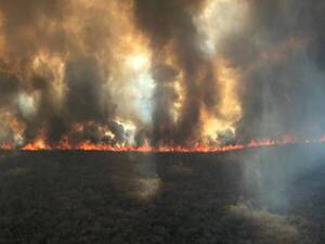 Incendios forestales azotan Paraguarí y bomberos ya no saben cómo pedir conciencia