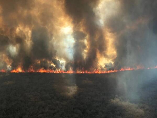 Incendios forestales azotan Paraguarí y bomberos ya no saben cómo pedir conciencia