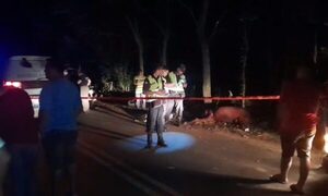 Joven motoca chocó contra una vaca y falleció