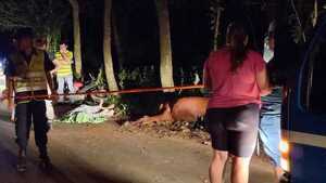 Motociclista falleció al chocar contra vaca suelta