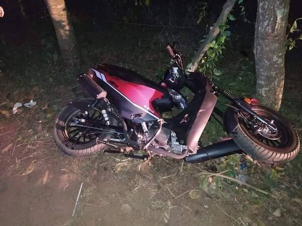 ¡Terrible! Joven motociclista muere tras chocar contra una vaca suelta