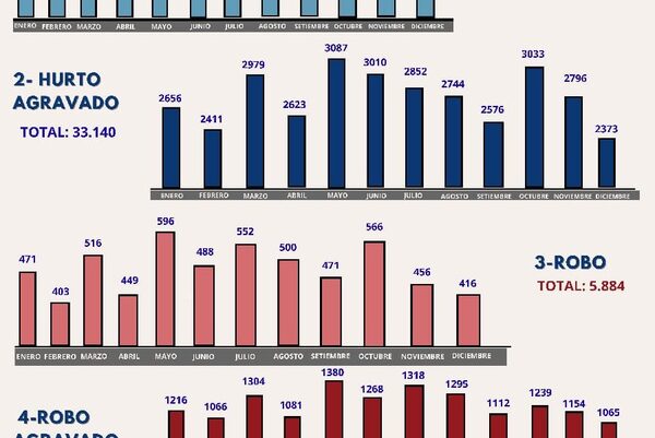 95.503 denuncias de hurto, hurto gravado, robo, apropiación en el 2023