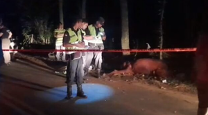 Joven motociclista chocó contra una vaca y falleció - Noticiero Paraguay