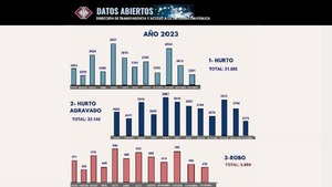 El 2023 cerro con casi 100.000 casos de denuncias por hurtos, robosy casos de apropiación