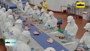 Video: Canadá envió certificado sanitario para exportación de carne - ABC Rural - ABC Color