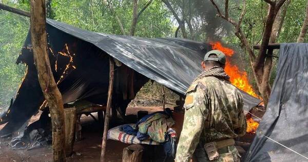 La Nación / Destruyen 18 toneladas de marihuana que pertenecería a la mafia fronteriza