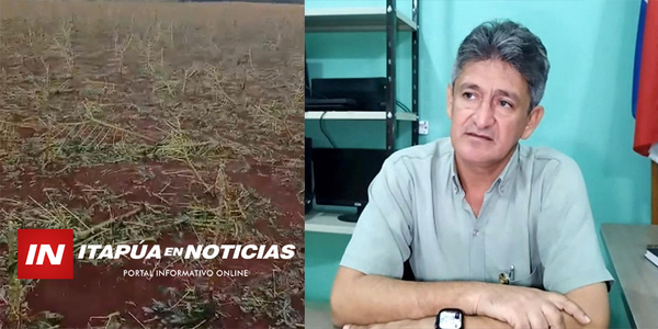 SEC. DE PRODUCCIÓN PLANIFICA APOYO PARA PRODUCTORES AFECTADOS POR LA GRANIZADA - Itapúa Noticias