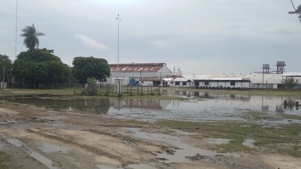 Bendición de la lluvia solo alcanza a una zona productiva del Chaco