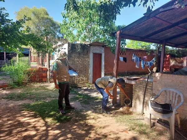 Disminuyen casos de dengue, pero Senepa continúa con las mingas - Nacionales - ABC Color