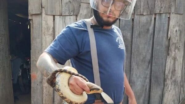 Serpiente de casi dos metros aparece en la cama de un hombre