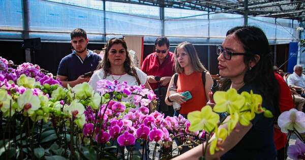 La Nación / Este finde, edición San Valentín de Flori Feria