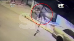 Alias Flavio, el líder de los "Topos" - SNT