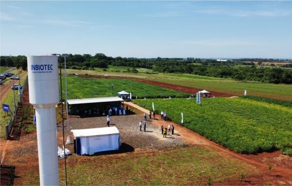 El Instituto de Biotecnología Agrícola, realizó su “Día del Campo: Programa de Mejoramiento en Soja” - Informatepy.com