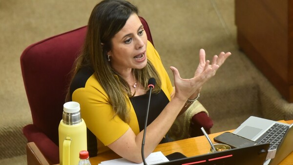 Se revela un fuerte plan para echar a Kattya del Senado