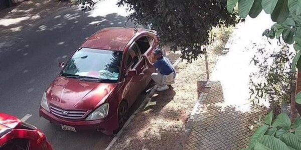 Tortolero en acción: arrojaba piedras y robaba objetos del auto