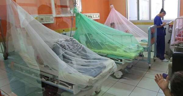 La Nación / Dengue: se incrementan los casos en todo el país