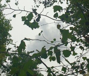 Sigue el ambiente caluroso con lluvias