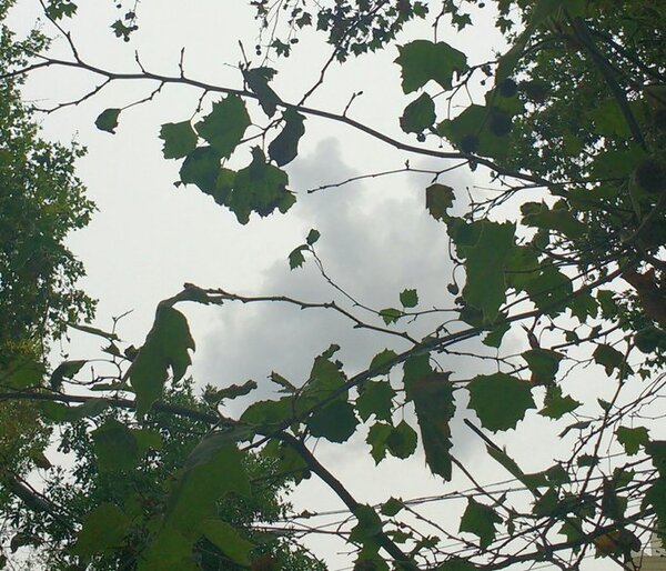 Sigue el ambiente caluroso con lluvias