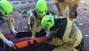 Accidente laboral: se cayó mientras podaba un árbol y quedó con serias lesiones