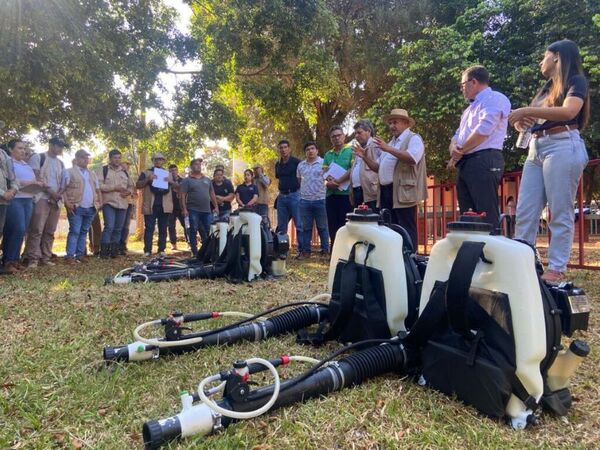 Guerra contra el dengue - La Tribuna