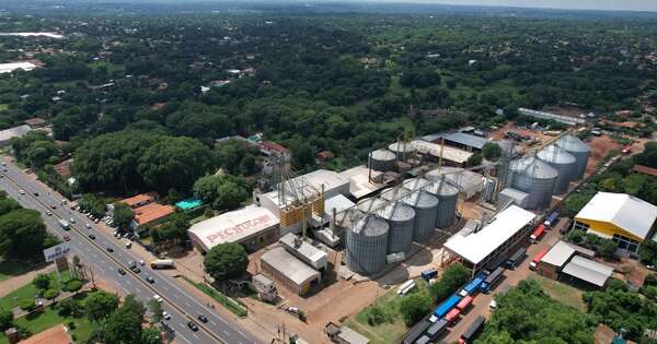 La Nación / Pechugón: garantizan que incidente no afectará la calidad de la producción