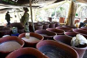 Autoridades hallan enorme laboratorio con 80 toneladas de metanfetaminas cerca de EE.UU. - Mundo - ABC Color