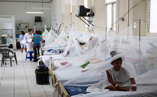 Dengue: advierten que la etapa de «aparente mejoría» es la más peligrosa | 1000 Noticias
