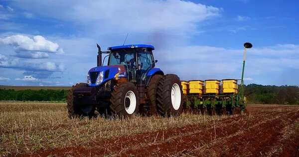 La Nación / Falta de lluvias preocupa a exportadores de oleaginosas