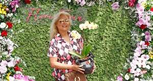 Diario HOY | Flori Feria,  con las más bellas orquídeas