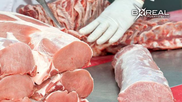 Buscan cumplir con exigencias y exportar carne porcina paraguaya a Chile - Unicanal