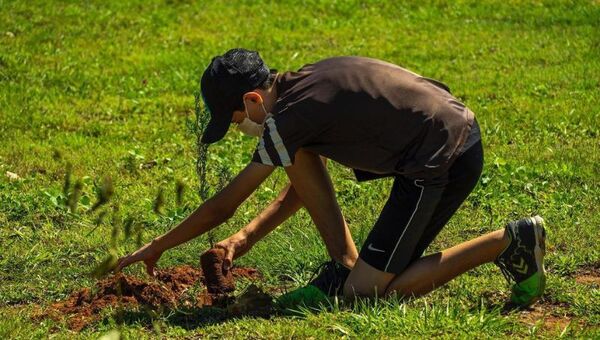 Objetivo verde: Fundación Mapeko, un movimiento que combate la crisis climática con pequeñas acciones