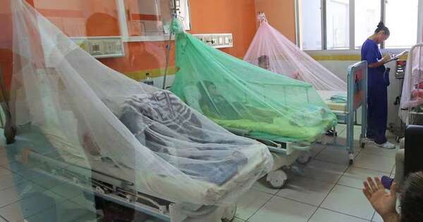 La Nación / Dengue: Salud advierte sobre aumento de casos