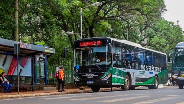 Junta solicita informes sobre lo recaudado por buses eléctricos