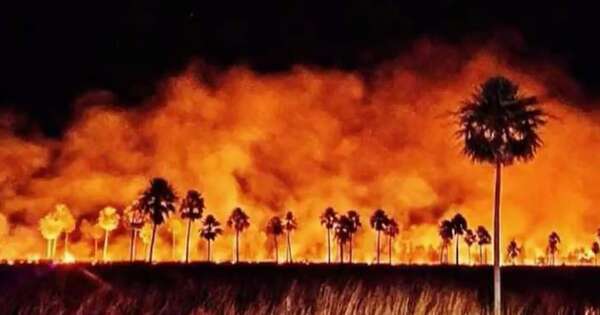La Nación / Reportan incendios en campos de Arroyos y Esteros e Itá