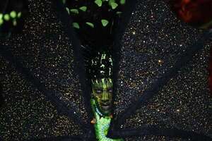 Despliegue apoteósico en el Carnaval de Brasil: las fotos más espectaculares - Mundo - ABC Color