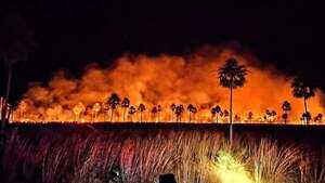 Reportan casi 70.000 héctareas afectadas por incendios forestales en el país - Nacionales - ABC Color