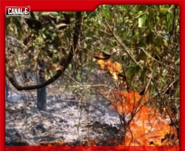 SEPTUAGENARIO FUE A QUEMAR UN PASTIZAL Y TEMRINÓ MURIENDO CALCINADO