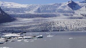 Calentamiento: Las plantas empiezan a sustituir al hielo en Groenlandia