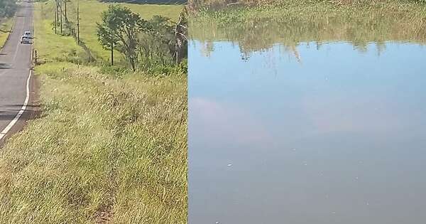 Diario HOY | Conductor de salva de milagro: su vehículo cayó a un arroyo