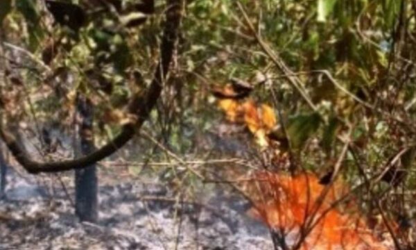 Karai ocasionó incendio de pastizal y se murió calcinado