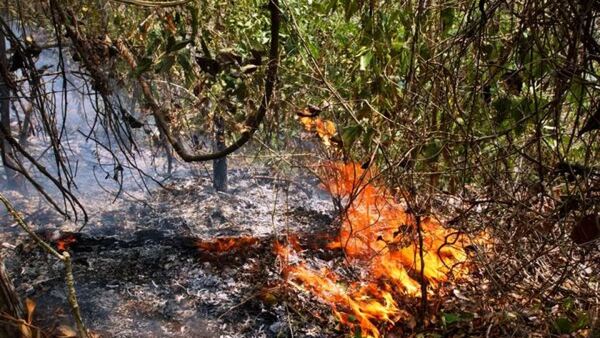 Abuelo murió calcinado tras quemar un pastizal