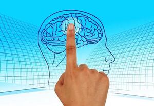 Curación inédita de un niño con tumor cerebral da esperanzas a científicos - Ciencia - ABC Color