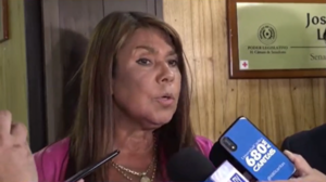 Celeste Amarilla afirmó que la conciencia de los colorados está secuestrada por Cartes - Megacadena - Diario Digital