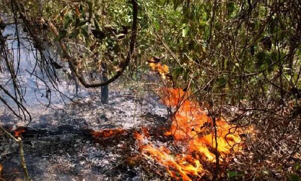 Abuelo murió calcinado tras quemar un pastizal en Itapúa – Prensa 5