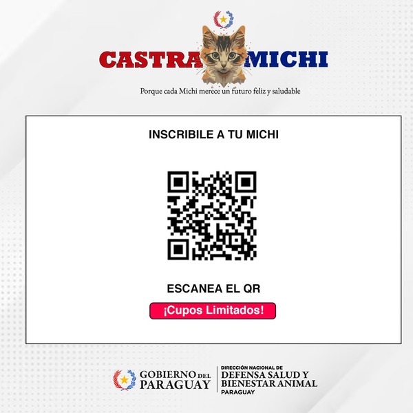 Jornada de castración de gatos este martes 20 en la Dirección de Defensa Animal - ADN Digital