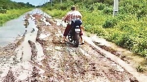 Bonanza de la lluvia en el Chaco reflota viejo drama del aislamiento